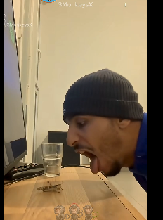 Галя тащи огнемёт