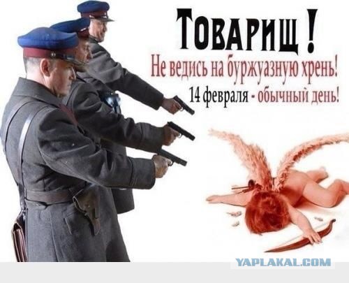 В Госдуме предложили изменить формат празднования 14 февраля