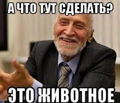 Мигрант-акробат провёл политическую акцию «намаз» в московской электричке