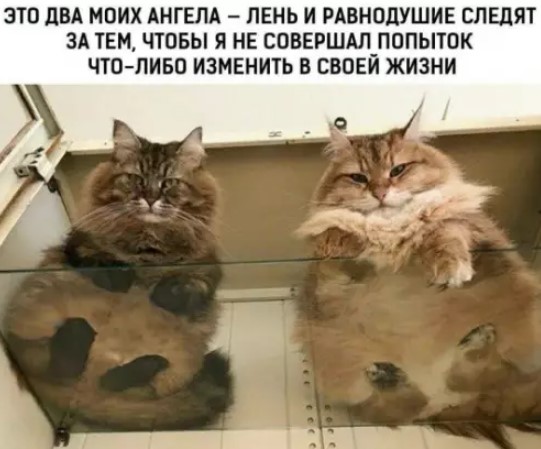 Картиночки, баянчики 19 марта