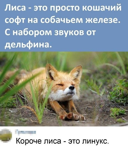 Прикольные и просто красивые картинки 03.04.2026