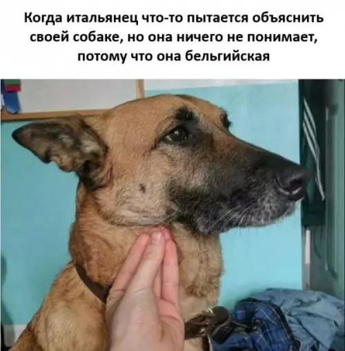Картиночки, баянчики 11 апреля