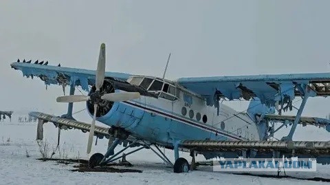 В России предложили восстановить 700 простаивающих Ан-2