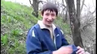 Депутат Свинцов заявил, что Max обошёл Telegram по числу пользователей в России