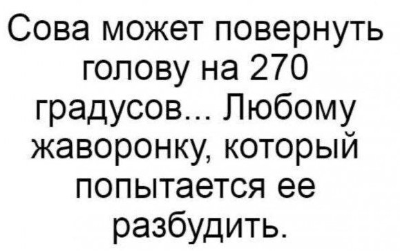 Сегодня отмечается Международный день БДСМ