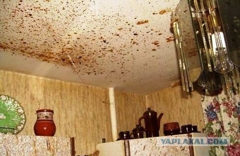 ЯП vs Варенье