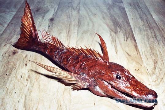 Ужасы морей и океанов