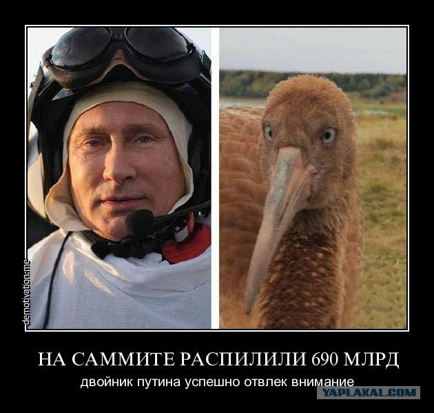 Три разных Путина