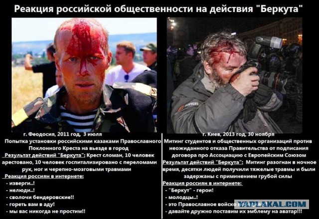 Беркут растрощил водителю автомобиль.