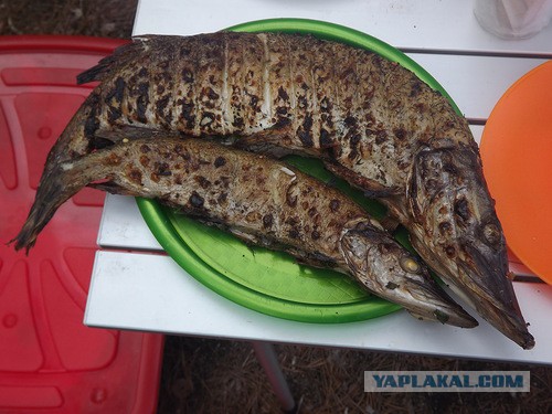 Урал-сказка!