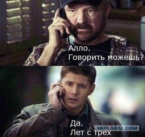 Подборка картинок
