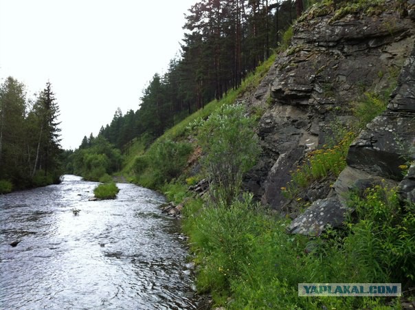 Хочу в Россию.