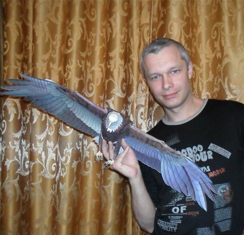 Моделизм как увлечение