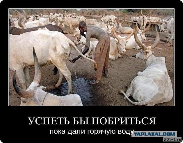 Занзибар: жизнь у самого дна