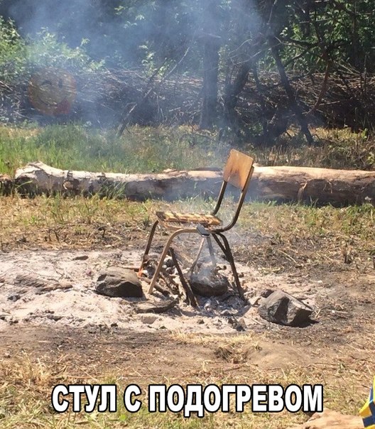 Забавные картинки из Сети