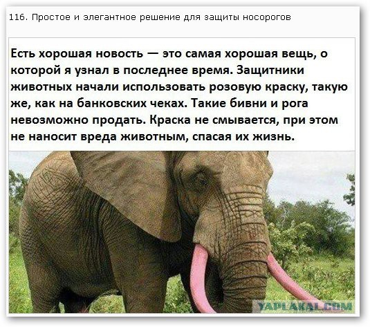 Интересные Научные Гифки и Картинки 6