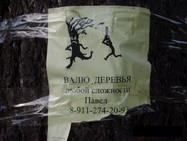 Пучок смешных картинок