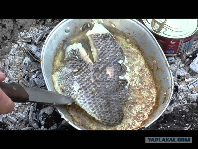 Полевая кухня