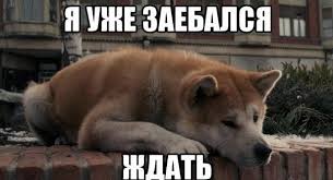 Провокация на Путина ожидается сегодня в 9 вечера