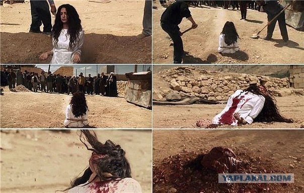 История из жизни