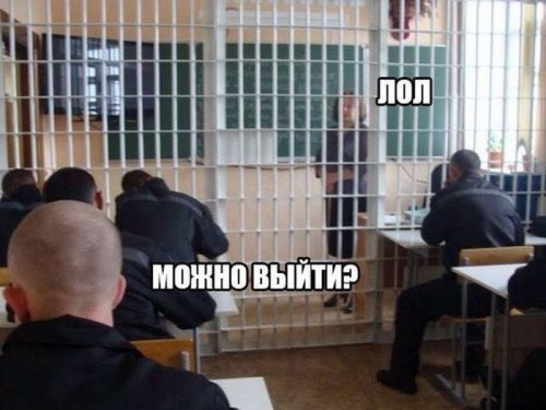 Подборка веселых картинок с тырнета