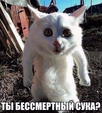 Нееее, ну ты ща отгребёшь!