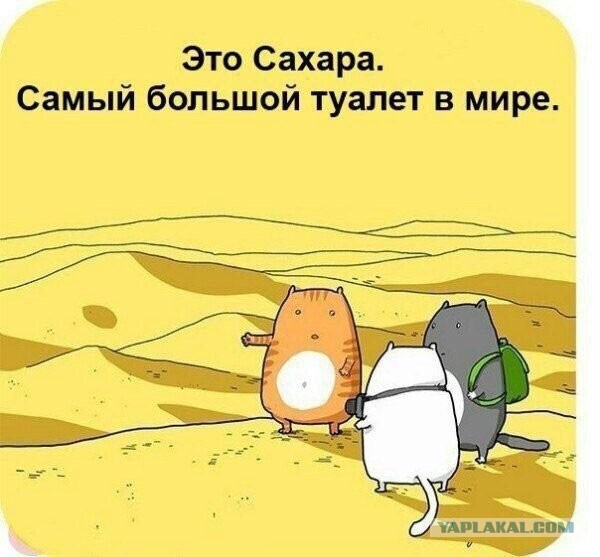 Минутка лёгкой деградации на ЯПе