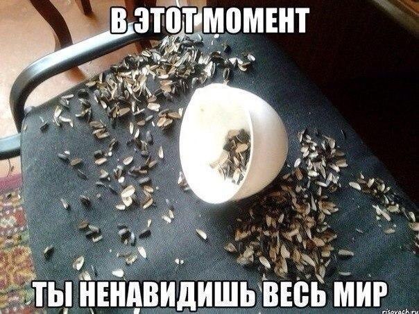 Подборка интересных и веселых картинок