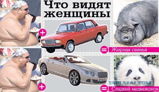 Ученые снова определили "самый привлекательный для женщин тип мужчины"