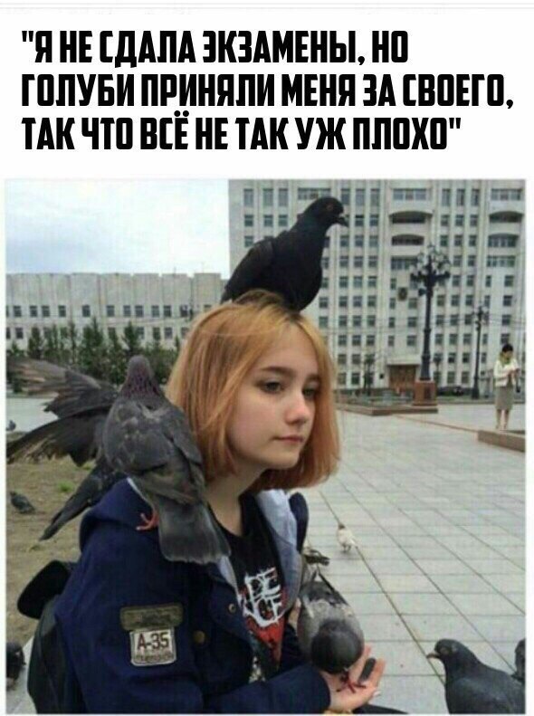Не очень адекватный юмор