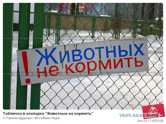 В Китае появятся люди второго сорта — Россия на очереди