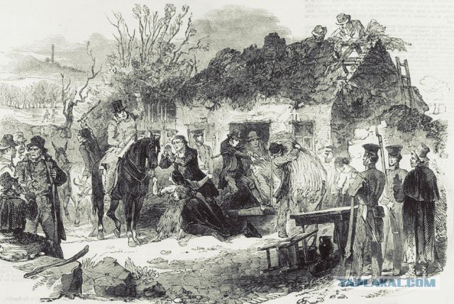 Ирландские кельты. История острова Святого Патрика