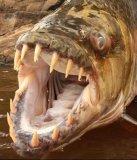 Аватары на заказ