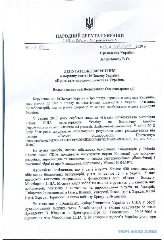 Вот откуда корона пришла