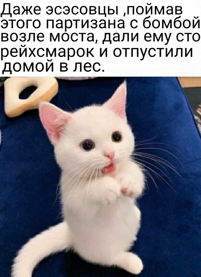 Немного картинок для настроения 17.05.20