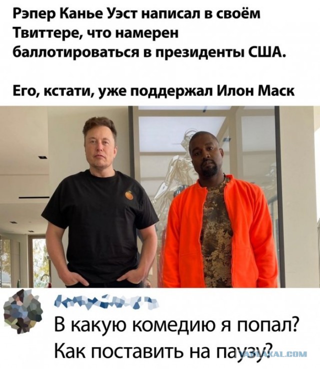 Авторские шутки и комментарии пользователей соцсетей