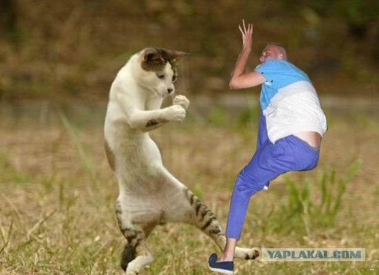 Фотожаба: ...как будто он не пьяный