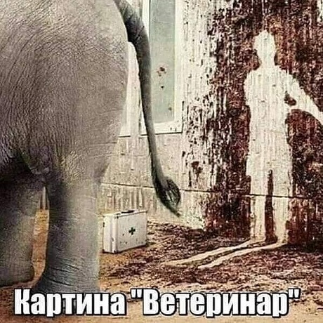 Весёлый полтишок 26.04