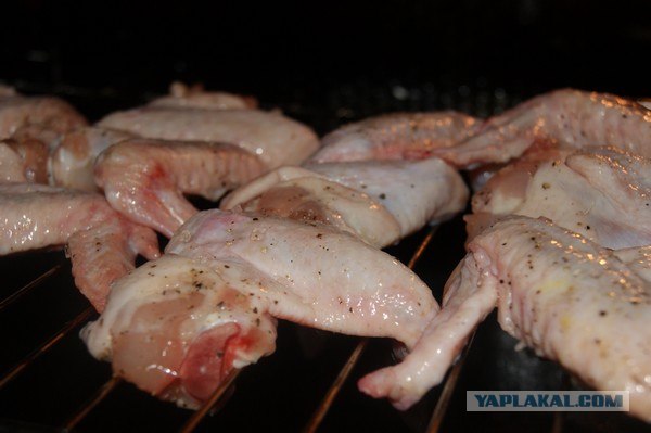 Ноги, хвосты… главное – крылья!, Кура-International–2, куриные крылья