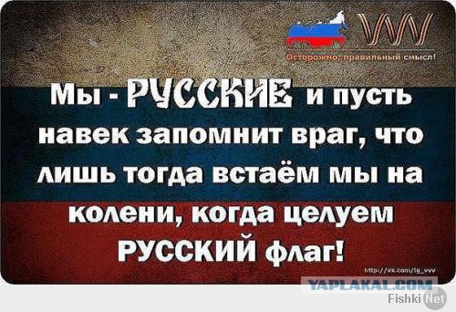 В "Единой России" подготовили законопроект о запрете въезда в РФ русофобам