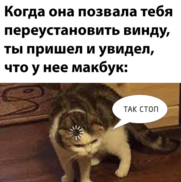Всяческие картинки 02.02.2022