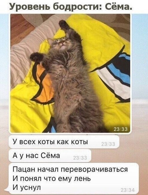 Скриншоты и комментарии из социальных сетей 23.08.22