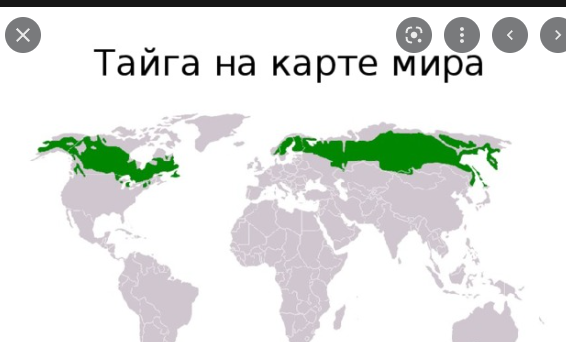 Баб в твиттере* спросили, что самого мерзкого делали их мужики