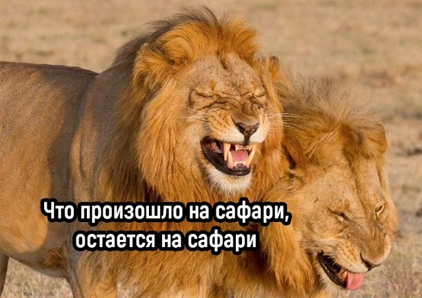 Это был тяжелый год