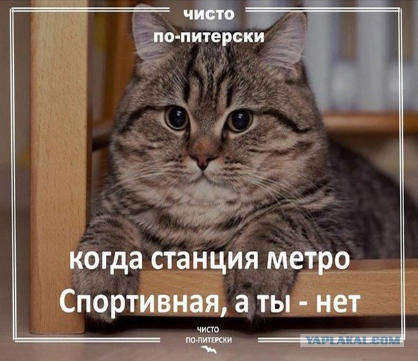Не пиз**астрадание, но не понимание этих сорокапятилетних "девушек". Не кочет! Из Жизни!