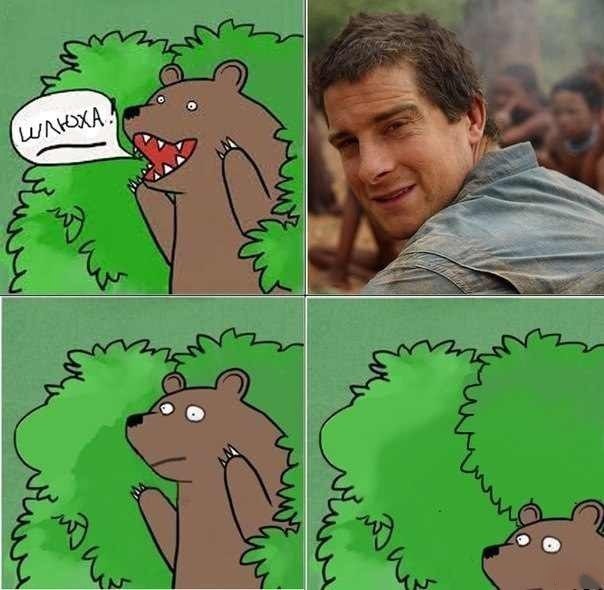 Беар и Bear