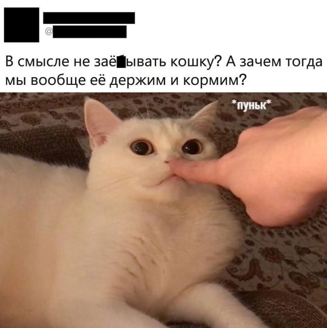Забавные картинки, шутки из этих ваших интернетов