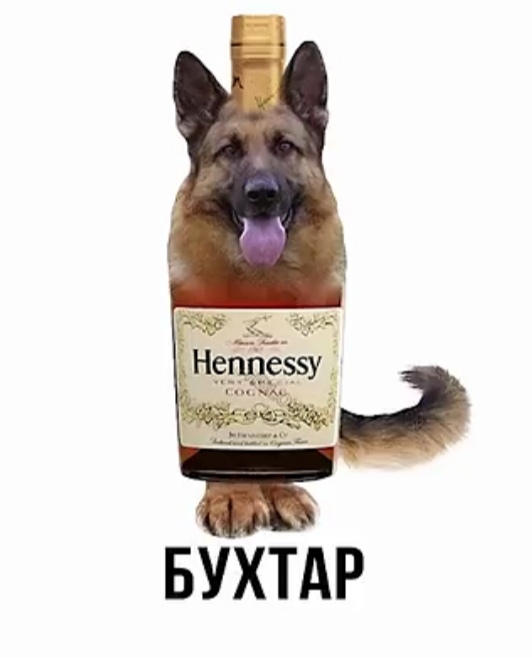Никакие картинки