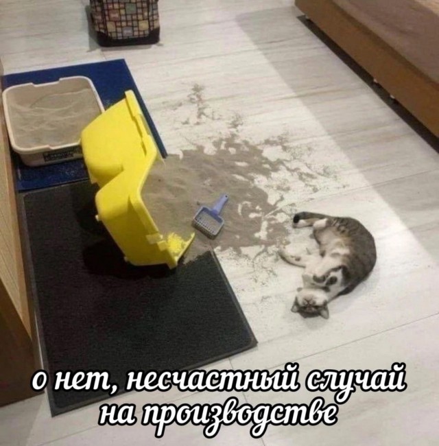 Так себе картинки 05.06.24