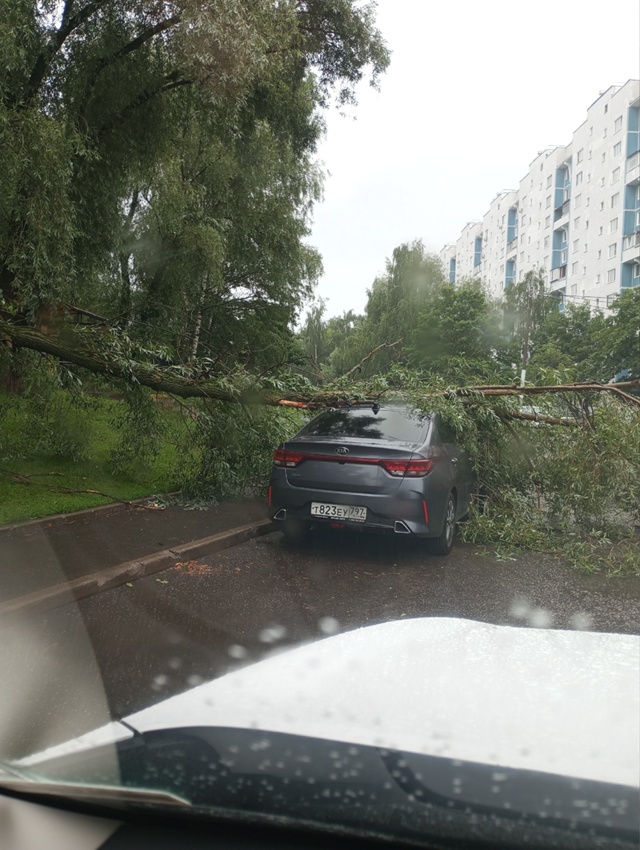 В Москве сильный ураган
